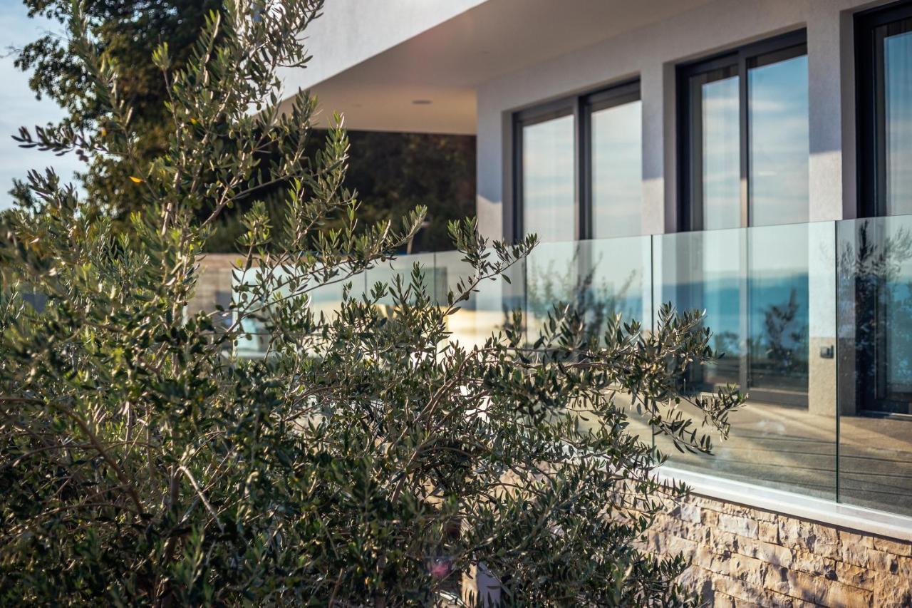 Villa Dispet With Heated Pool, Jacuzzi, Sauna And Cinema Целина Экстерьер фото